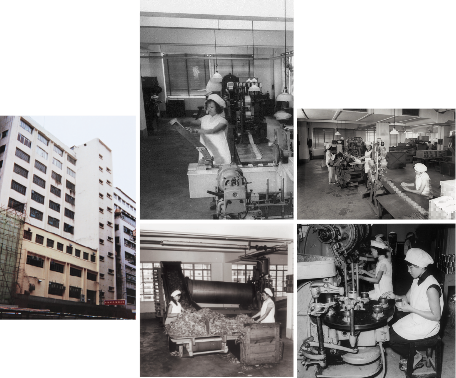 香港新蒲崗工廠（1965年-1985年）